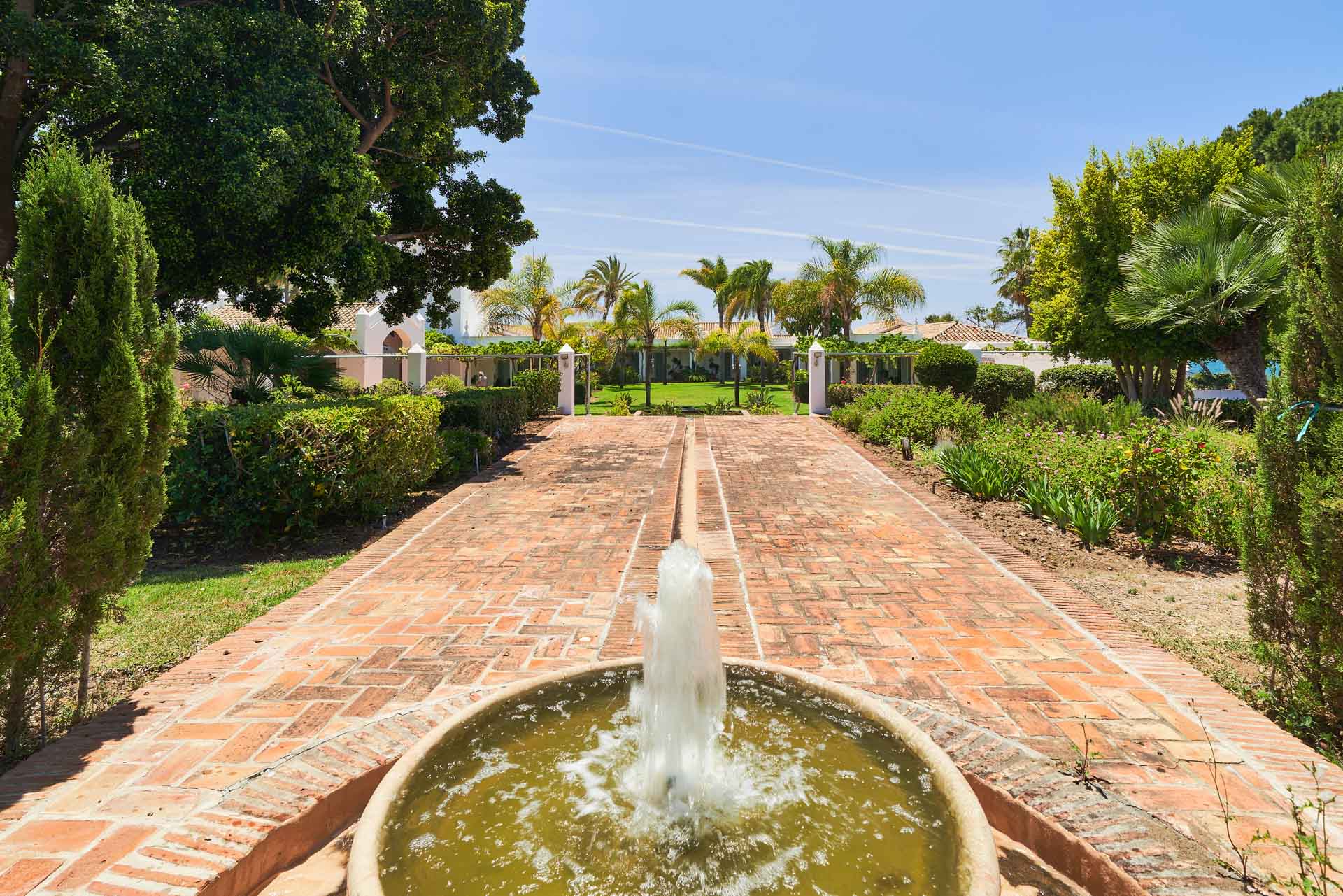 Imagen de un jardin con camino de azulejos, fuente, palmeras y cesped.
